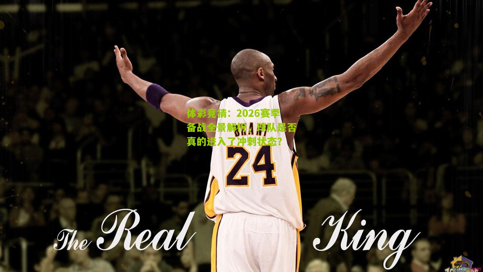 2026赛季备战全景解析,球队是否真的进入了冲刺状态?